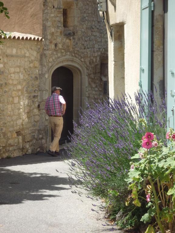 Les Arcades Le Lion D'Or Hotel Buis-les-Baronnies Kültér fotó